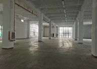 出租 瓯江口独栋全新厂房5200平，高6米，带院子，电大